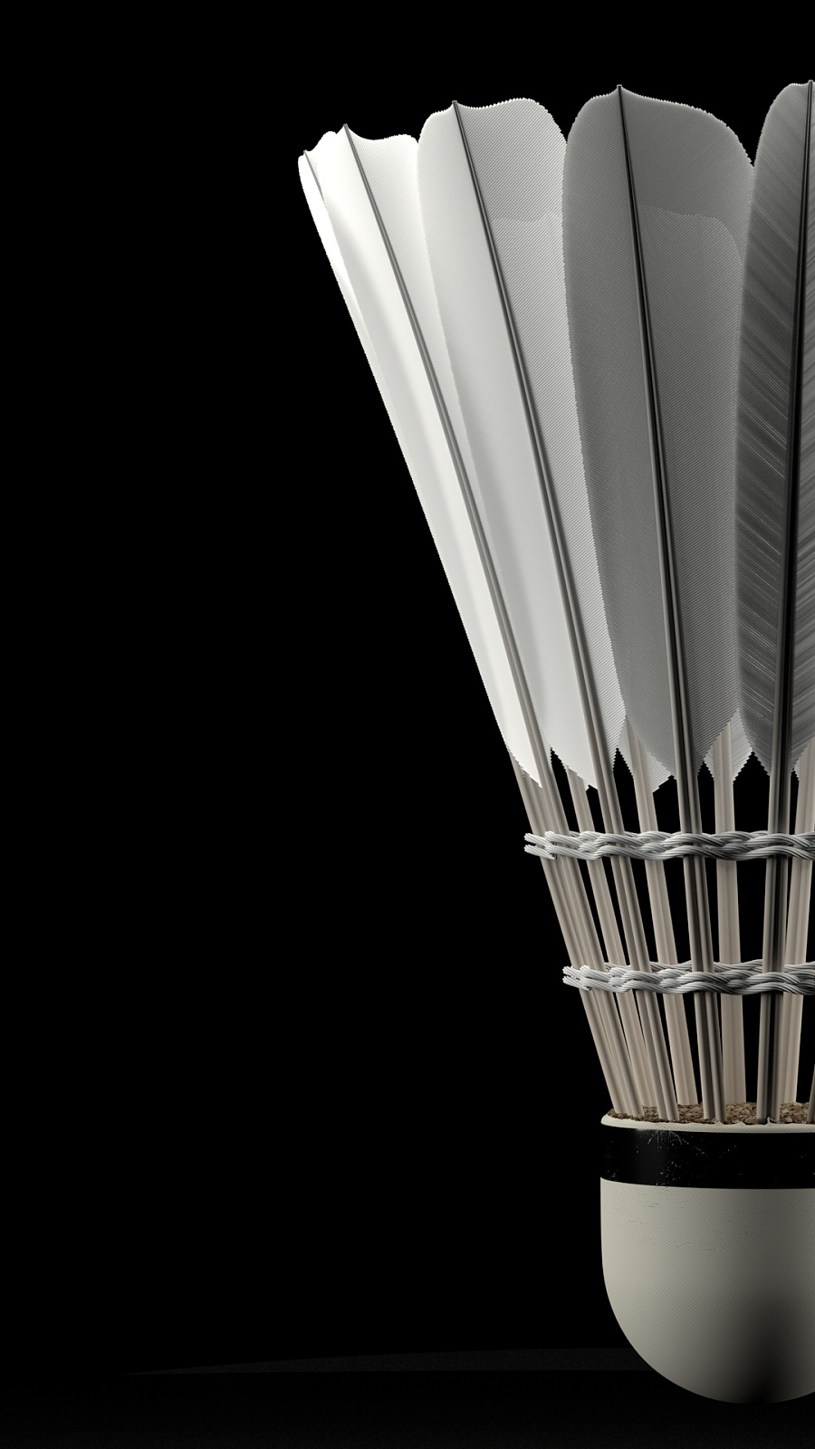 的乡村运动 的乡村运动