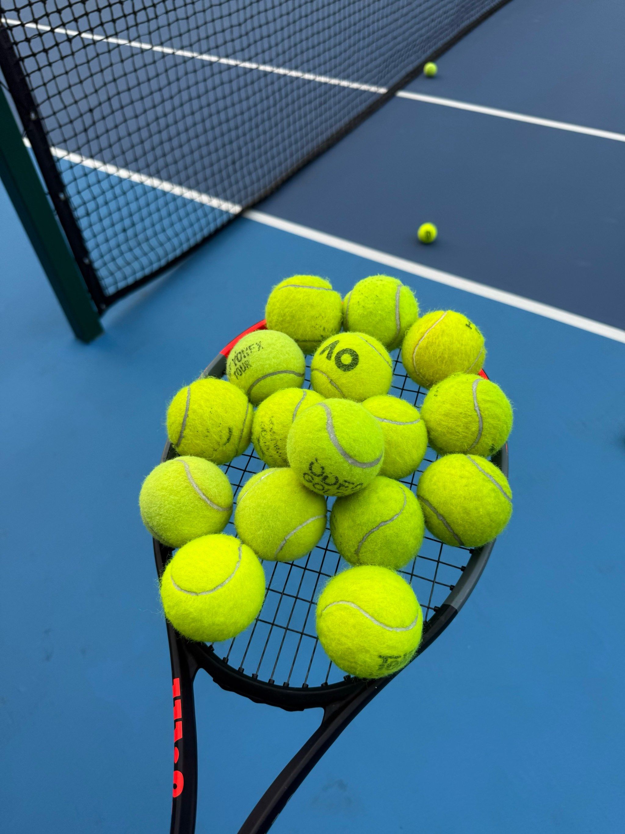 重庆铜梁龙 重庆铜梁龙